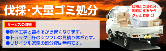 ���́E��ʃS�~�����i����j